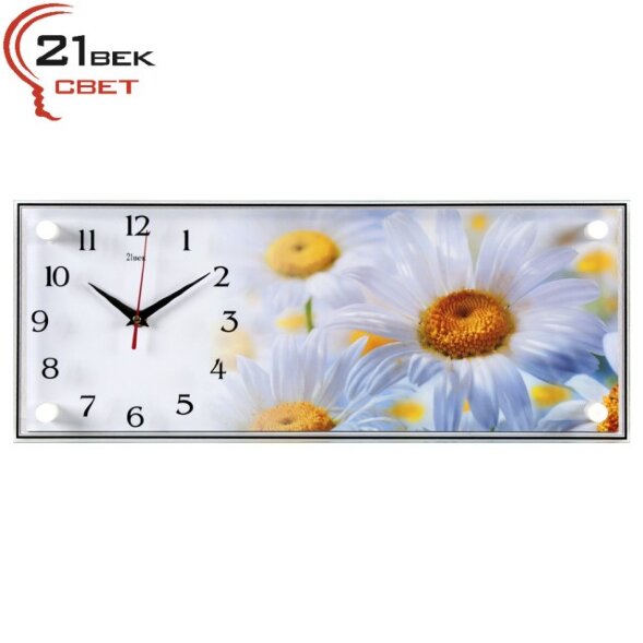 5020-416 (в кор.5шт.) - Часы настенные&amp;quot;Ромашки&amp;quot;21 [01082384]