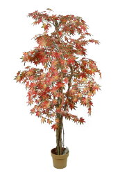 13921 (в уп.2шт.) - Дерево декоративное &amp;quot;Клён&amp;quot; с г [01064845]