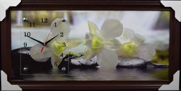 33х70 F-159G - Часы-картины настенные в багете Усп [01075512]