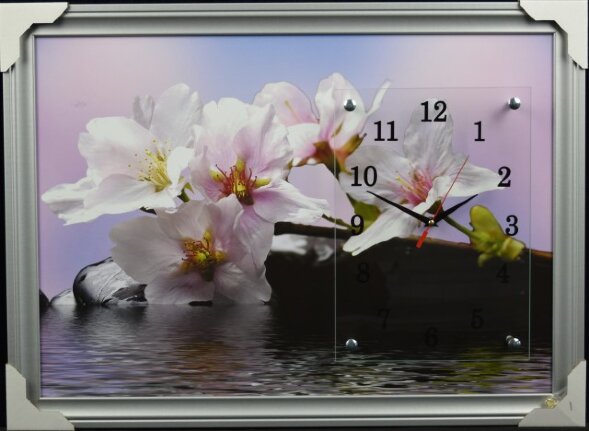 50х70 F-161 - Часы-картины настенные в багете Успе [01075505]