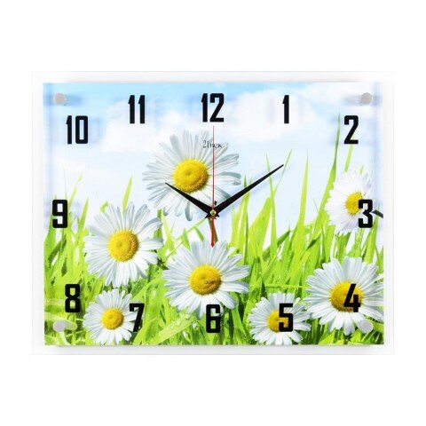 3545-1129 (в кор.5шт.) - Часы настенные&amp;quot;Ромашки на [01072366]