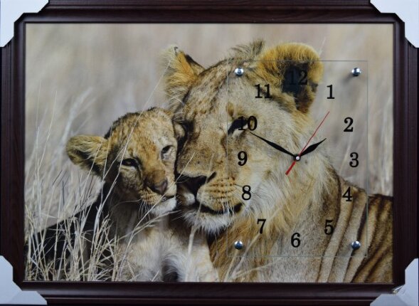 50х70 F-41 - Часы-картины настенные в багете Успех [01077203]