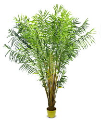 17141 (в уп.2шт.) - Дерево декоративное &amp;quot;Пальма Фе [01064853]