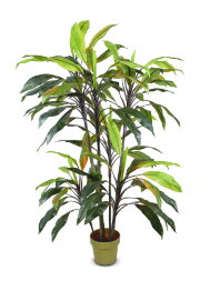 17579 (в уп.2шт.) - Растение декоративное &amp;quot;Красная [01064855]