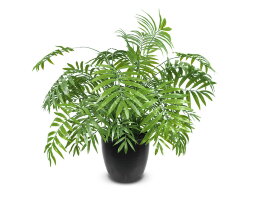 17668 (в уп.12шт.) - Дерево декоративное &amp;quot;Фениксов [01064856]