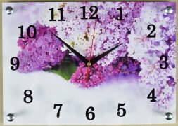 250х350 439 - Часы настенные Успех, размер: 25*35с [01082571]