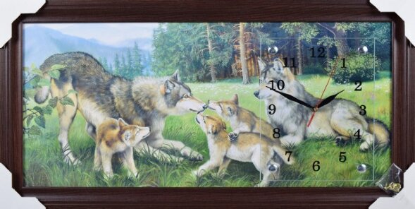 33х70 F-718G - Часы-картины настенные в багете Усп [01082275]