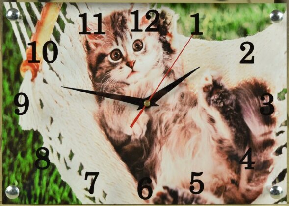 250х350 746 - Часы настенные Успех, размер: 25*35с [01084677]