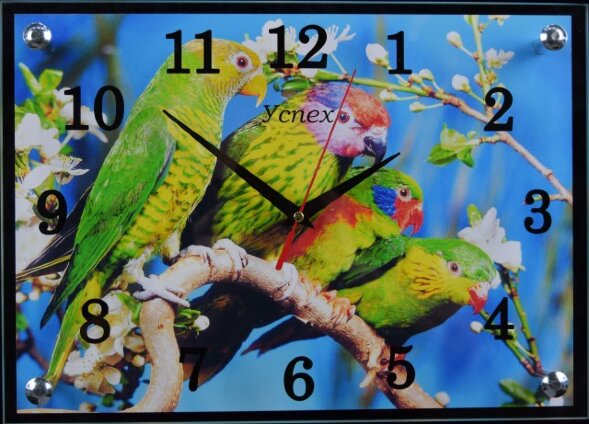 250х350 785 - Часы настенные Успех, размер: 25*35с [01074556]