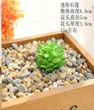 682786 (в уп.100шт.) - Суккулент искусственный / G [01102579]