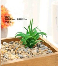 682794 (в уп.200шт.) - Суккулент искусственный / G [01102581]