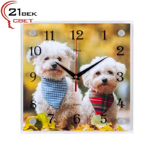 2525-107 (в кор.10шт) - Часы настенные&amp;quot;Домашние лю [01088015]