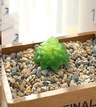 682796 (в уп.100шт.) - Суккулент искусственный / G [01102582]