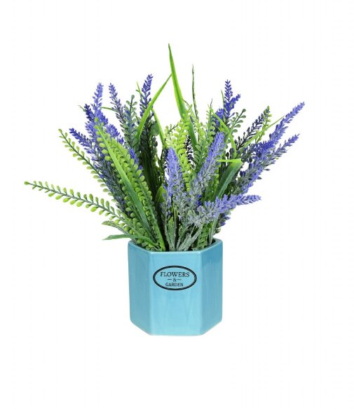 Лаванда-мини в пластиковом горшке, размер: высота [01099480]