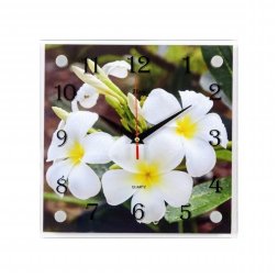 2525-1144 (в кор.5шт.) - Часы настенные&amp;quot;Веточка бе [01073517]