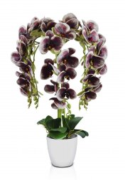 Орхидея напольная 5 ВЕТОК, размер: высота 80 см, ш [01098397]