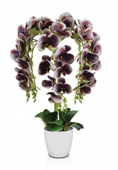 Орхидея напольная 5 ВЕТОК, размер: высота 80 см, ш [01098397]