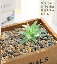 682810 (в уп.100шт.) - Суккулент искусственный / G [01102590]