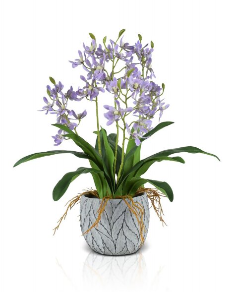Орхидея, размер: высота 55 см, ширина 50см., матер [01094475]