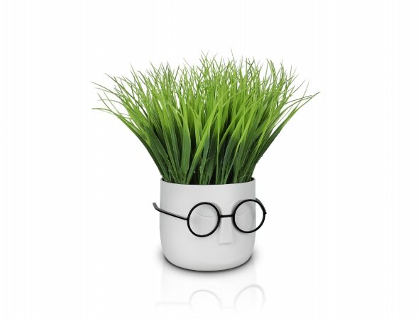 Осока в горшке-очки, размер: высота 25см., ширина [01103918]