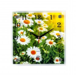 2525-384 (в кор.5шт.) - Часы настенные&amp;quot;Ромашковое [01072109]