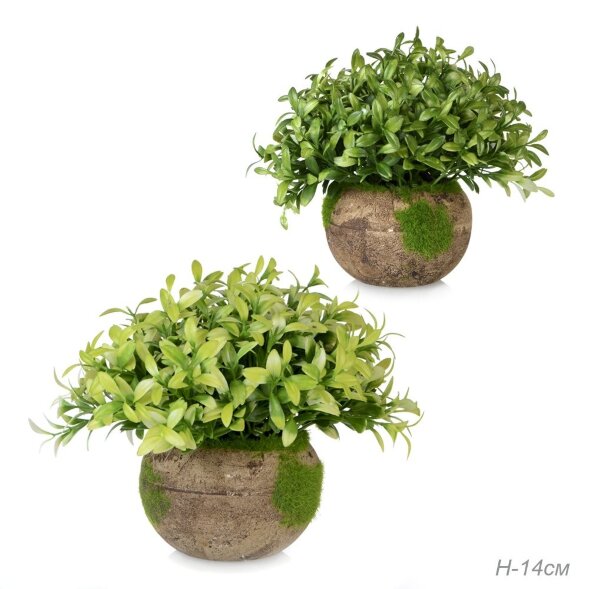 641900 (в уп.48шт.) - Цветочная композиция Зелень [01105707]