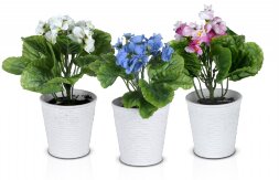 Фиалка мал., размер: высота 24 см., ширина 17 см., [01089024]