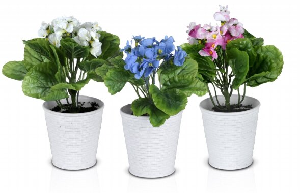 Фиалка мал., размер: высота 24 см., ширина 17 см., [01089024]