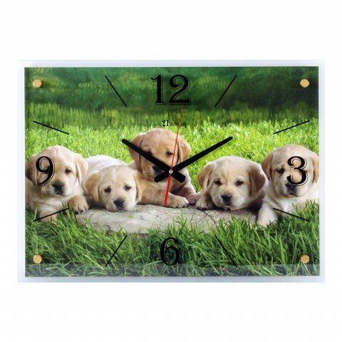 4056-1195 (в кор.5шт.) - Часы настенные&amp;quot;Щенки&amp;quot;21 В [01073556]