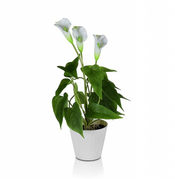Цветочная композиция Каллы размер: высота 40 см, ш [01101059]