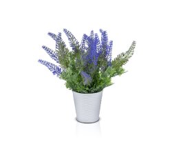 Цветочная композиция Лаванда мал., размеры: высота [01090209]