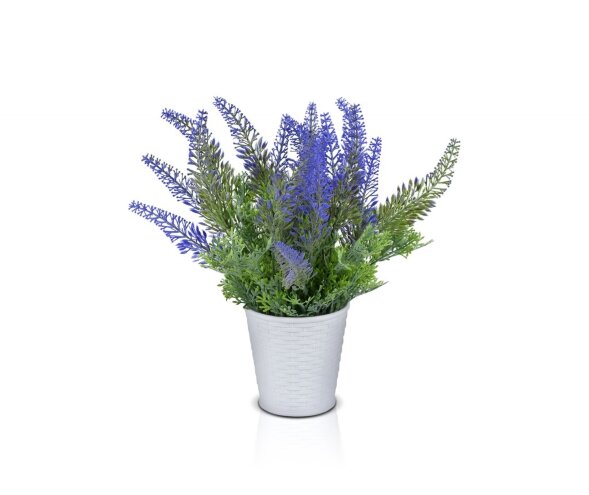 Цветочная композиция Лаванда мал., размеры: высота [01090209]