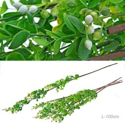 651584 (в уп.140шт.) - Сухоцвет набор 5 штук, H-10 [01095312]