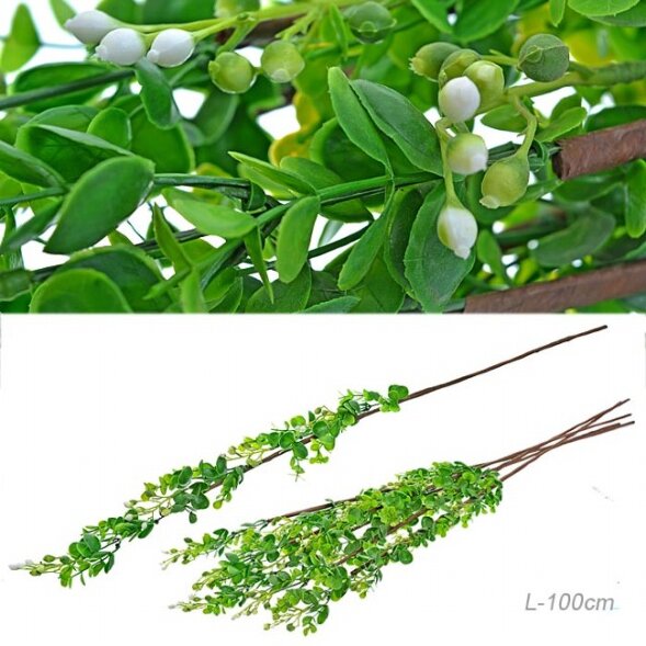 651584 (в уп.140шт.) - Сухоцвет набор 5 штук, H-10 [01095312]