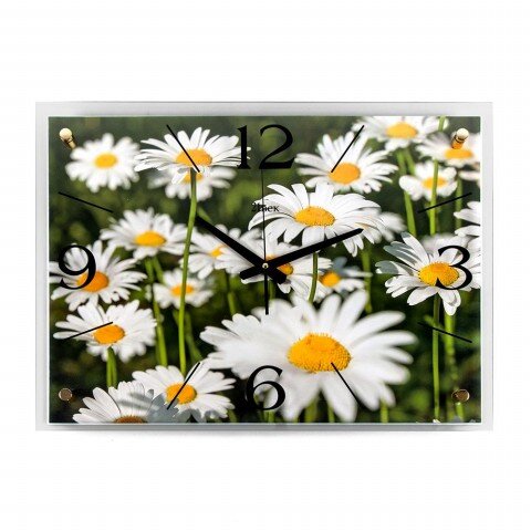 4056-415 (в кор.5шт.) - Часы настенные&amp;quot;Ромашковое [01073891]