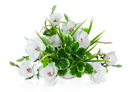 Цветочная композиция Магнолия Зибольда, размер: вы [01094341]