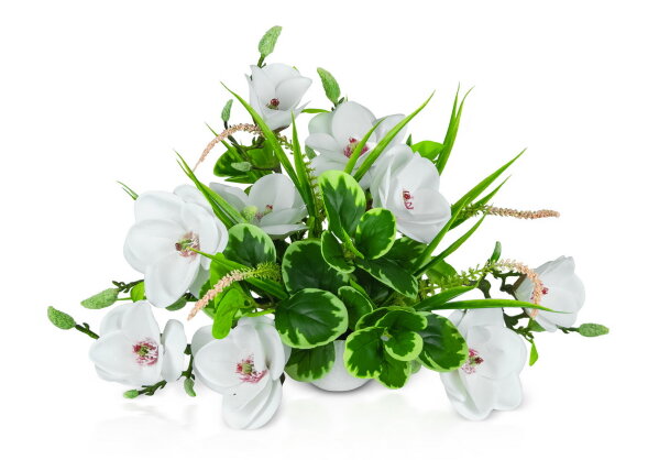 Цветочная композиция Магнолия Зибольда, размер: вы [01094341]