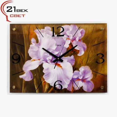 4056-569 (в кор.5шт.) - Часы настенные&amp;quot;Ирис&amp;quot;21 Век [01078323]