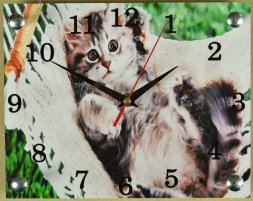 200х250 746 - Часы настенные Успех, размер: 20*25с [01084684]