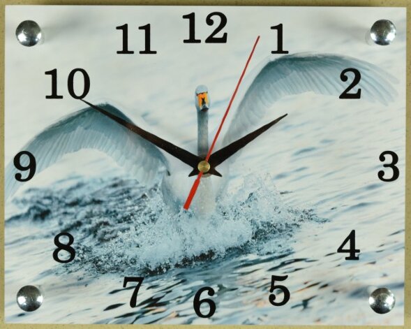 200х250 774 - Часы настенные Успех, размер: 20*25с [01084694]