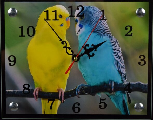 200х250 786 - Часы настенные Успех, размер: 20*25с [01076720]