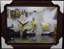 30х40 F-159 - Часы-картины настенные в багете Успе [01074750]