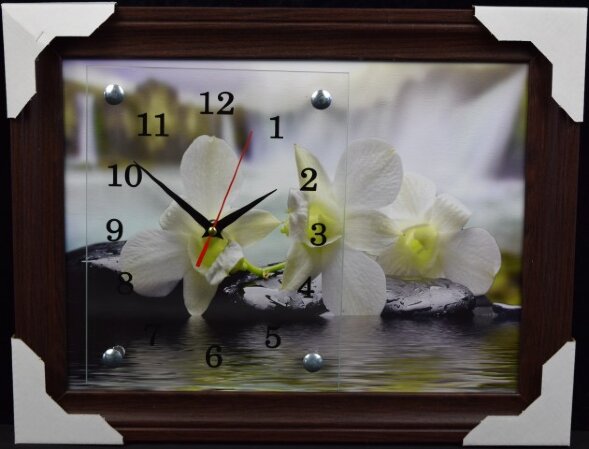 30х40 F-159 - Часы-картины настенные в багете Успе [01074750]