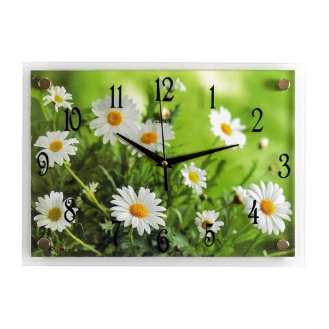 2535-255 (в кор.10шт.) - Часы настенные&amp;quot;Полевые ро [01072096]