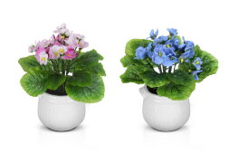 Цветочная композиция Фиалка маленькая, размер: выс [01099477]