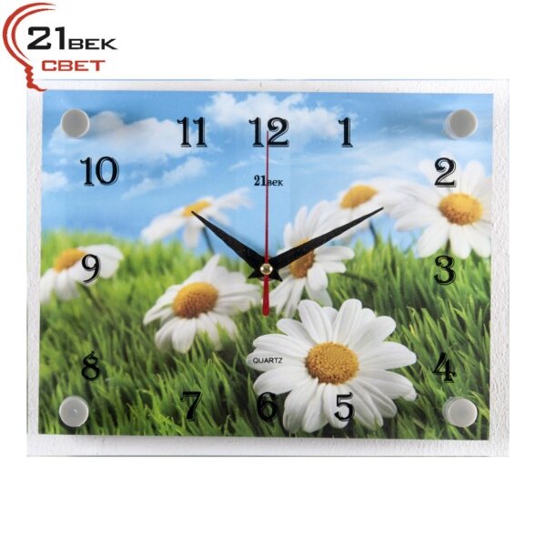 2026-136 (в кор.10шт.) - Часы настенные&amp;quot;Ромашки на [01085227]